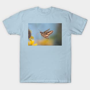 Hovering Hummingbird Moth T-Shirt